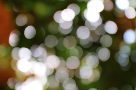 Abstract bokeh green background.の写真素材