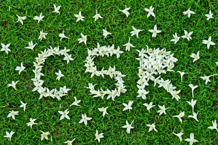 csr - corporate social responsibilityの写真素材