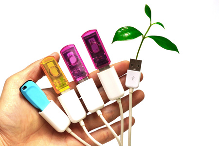 hand holding a usb cable with a small plantの写真素材