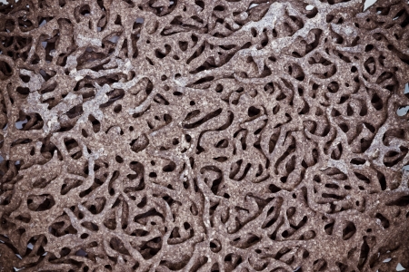 deserted termite nestの写真素材