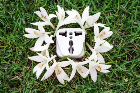 a tree growing on a socket with white flowers