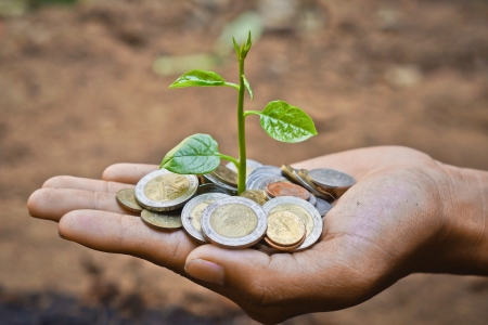 hand holding a tree growing on coinsの写真素材