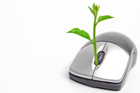 a tree growing on a mouse   green it   go greenの写真素材