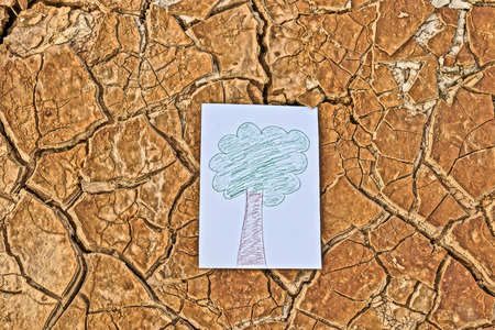 A picture of trees on cracked earth   growing tree   save the world   environmental problems   cut treeの写真素材
