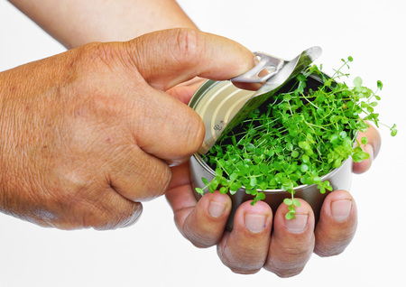 hands opening a can with a tree inside  tree in a can  tree growing in a can  idea work  love tree  love natureの写真素材