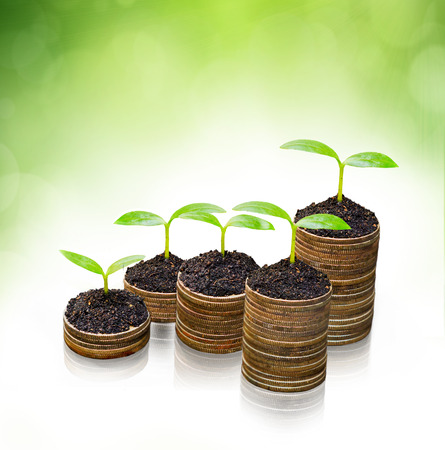 tress growing on coins   csr   sustainable development   economic growth   trees growing on stack of coinsの写真素材