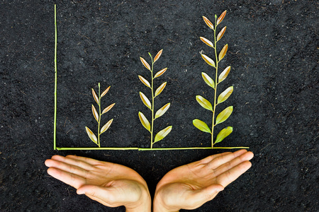 Hand holding tree arranged as a green graph on soil background   csr   sustainable development   planting a tree   corporate social responsibilityの写真素材