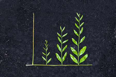 tree arranged as a green graph on soil background   csr   sustainable development   planting a tree ...