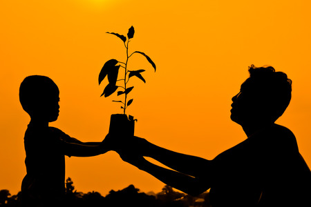 father and son holding a tree together   planting a treeの写真素材