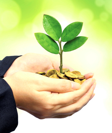 hands holding tree growing on coinsの写真素材