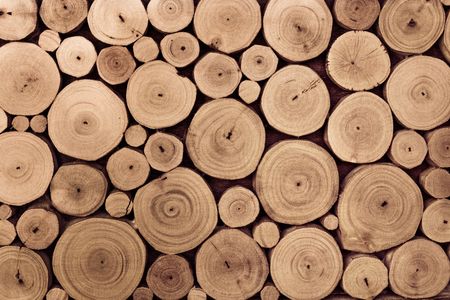 pieces of teak wood stump backgroundの写真素材