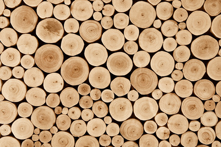 pieces of teak wood stump backgroundの写真素材