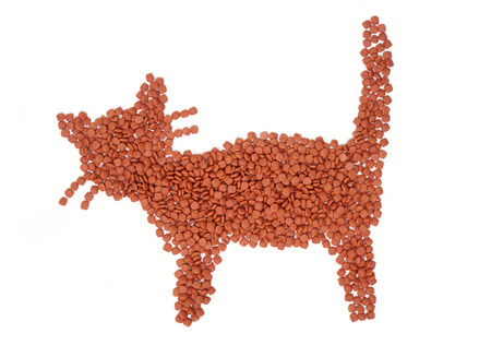 Pet food arranged as a shape of a catの写真素材
