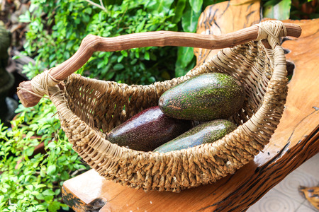 avocado in a basketの写真素材