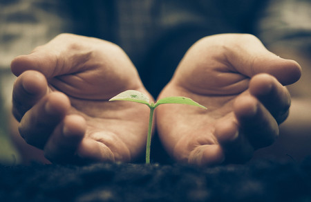 Agriculture. Hands growing and nurturing tree growing on fertile soil with green and yellow bokeh background / nurturing baby plant / protect natureの写真素材