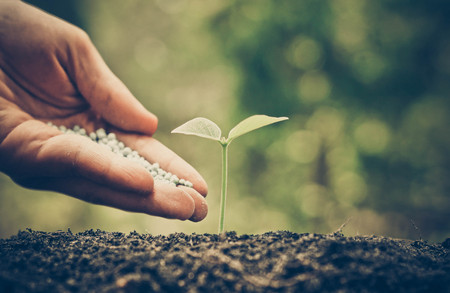 hand giving chemical fertilizer to plant on fertile soilの写真素材