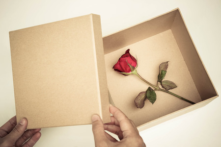 Female hand opening a box of red rose isolated / Surprised love concept