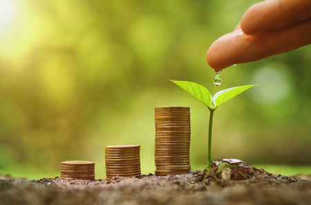 Green business and investment / Business with environmental concernの写真素材