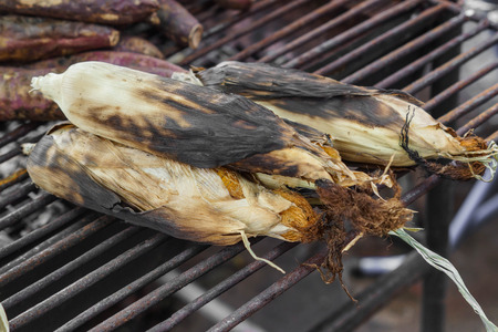 Roasted cornsの写真素材