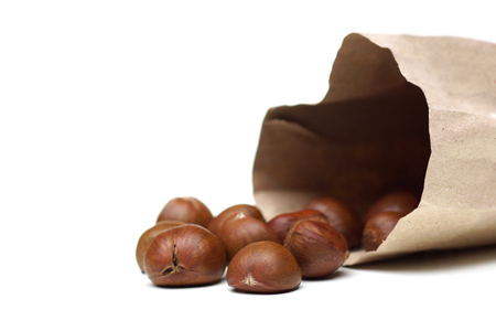 Roasted Chestnut isolatedの写真素材