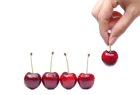 Female hand picking up a red cherry isolated on white