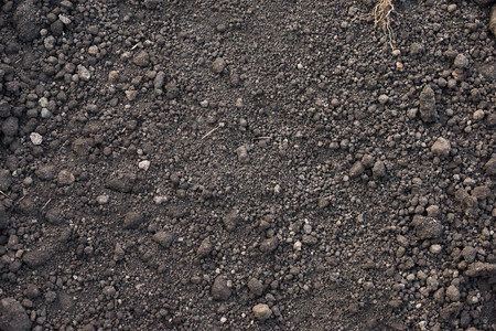 Fertil soil backgroundの写真素材