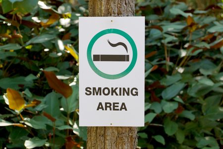 Smoking area sign attached on a tree trunk in the gardenの写真素材