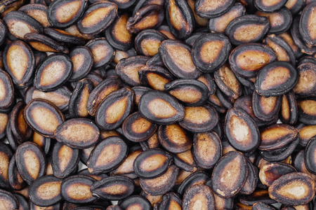Closeup of watermelon seedsの写真素材