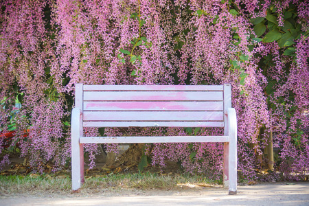 a bench with beautiful purple flower backgroundの写真素材