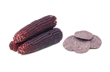 Blue corns and corn tortilla chips isolatedの写真素材