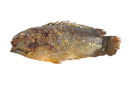 Grilled fish with salt isolated - Anabas testudineusの写真素材