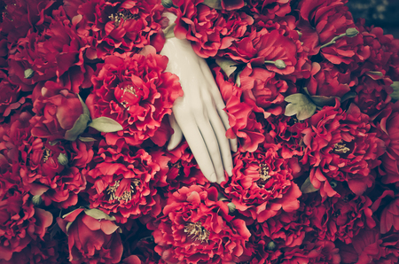 White hand in a big bunch of red flowerの写真素材