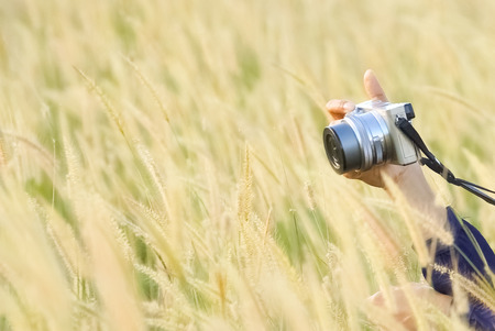 Hand holding a camera, taking a photo in a beautiful grass flower fieldの写真素材