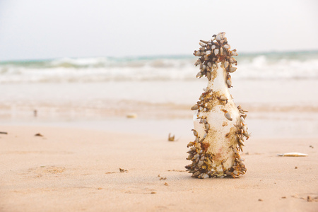 A glass bottle full of barnacle / Pollution in the sea conceptの写真素材