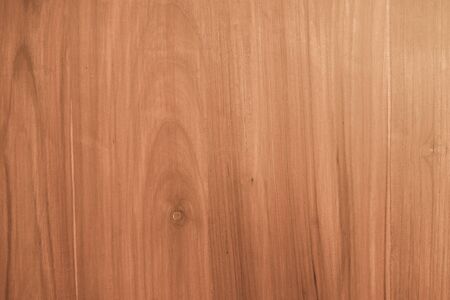 Wood texture for design and decorationの写真素材