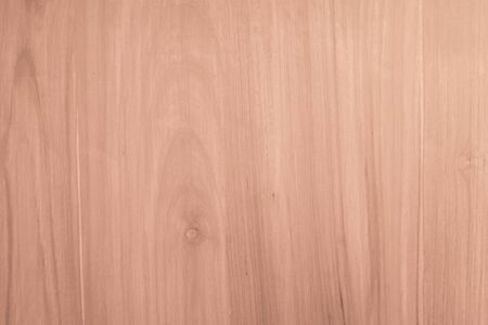 Wood texture for design and decorationの写真素材