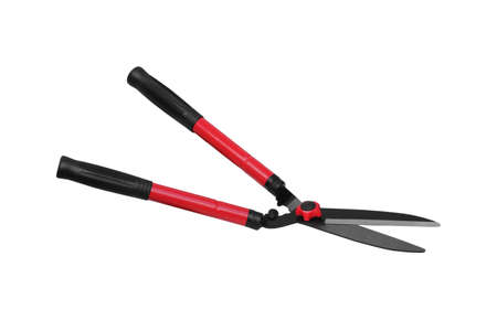 A pair of grass shears isolated on whiteの写真素材
