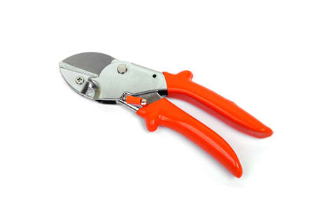 Pruning shears isolated on white backgroundの写真素材