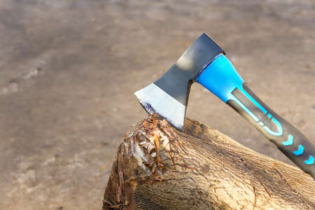 An axe on a cut treeの写真素材