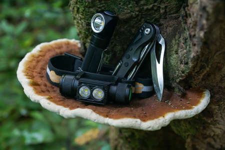 Flashlights and foldable knife on big mushroom in the forest