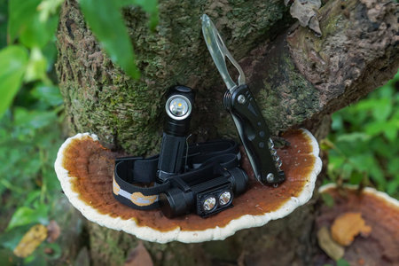 Flashlights and foldable knife on big mushroom in the forestの写真素材