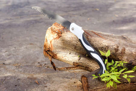 Pruning saw on a log