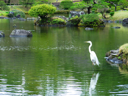 Peaceful Suizenji Park in the center of Kumamoto City, Japan. This Japanese Style Park was built by the Hosokawa family in the 17th century.の写真素材