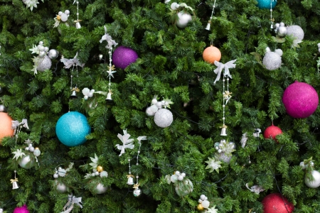 Gift box with Christmas trees の写真素材