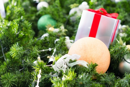 Gift box with Christmas trees の写真素材