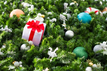 Gift box with Christmas trees の写真素材