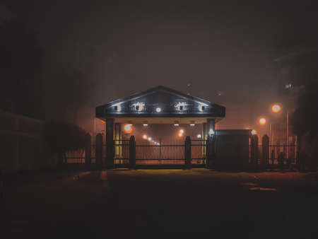 palm tree in a field with buildings in the backの写真素材