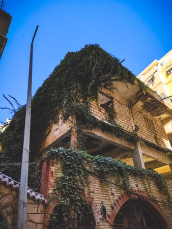 abandoned building covered in ivy plantsの写真素材