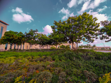 landscape of dramatic clouds, grass and trees