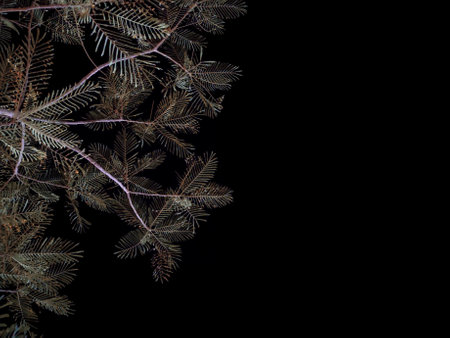 upward sky shot with part of the frame populated with leaves of tree